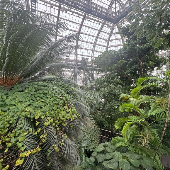 Meet your Posher, Nicholas - Picture 1 of 1